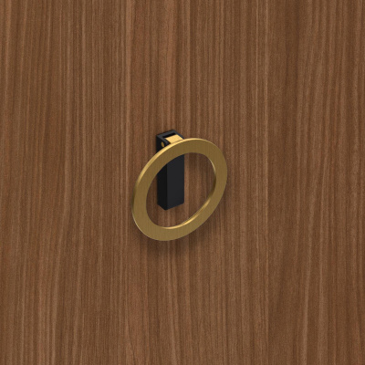 Ручка Campli, ø 64 мм 32 мм, H16,5 мм, золото брошована / матовий чорний (9348210) Hettich