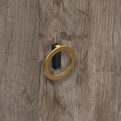 Ручка Campli, ø 64 мм 32 мм, H16,5 мм, золото брошована / матовий чорний (9348210) Hettich