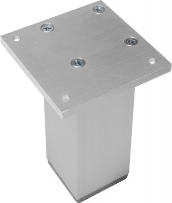 Ножка алюминиевая Н=100, алюминий