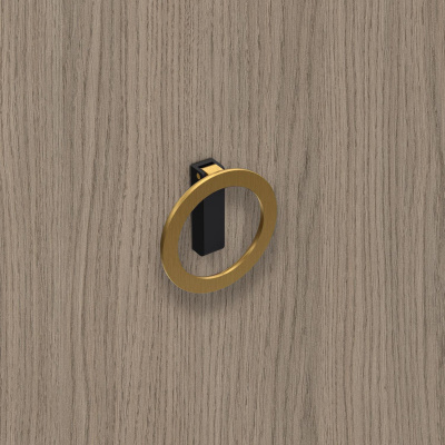 Ручка Campli, ø 64 мм 32 мм, H16,5 мм, золото брошована / матовий чорний (9348210) Hettich