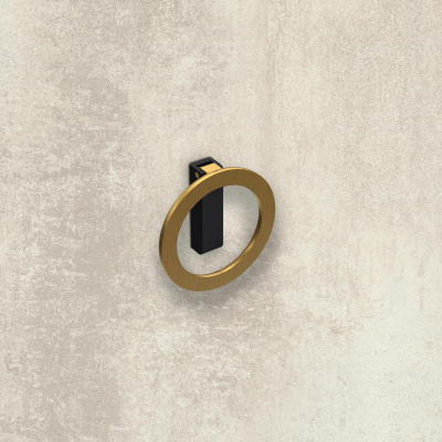 Ручка Campli, ø 64 мм 32 мм, H16,5 мм, золото брошована / матовий чорний (9348210) Hettich