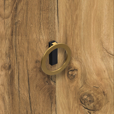 Ручка Campli, ø 64 мм 32 мм, H16,5 мм, золото брошована / матовий чорний (9348210) Hettich